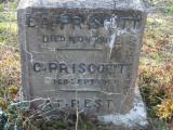 image of grave number 295077